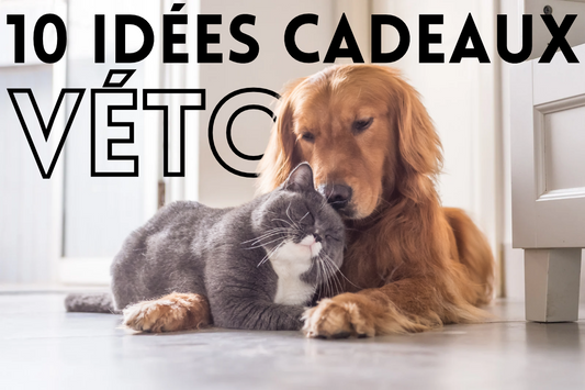Photo d'un chien et d'un chat avec le texte "10 idées cadeaux véto"